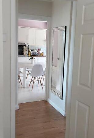 Bellevue Bungalow - Comfortable Home With Amazing Views Belfast Buitenkant foto