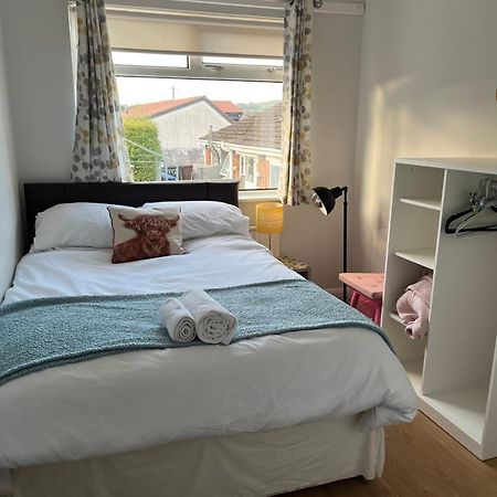 Bellevue Bungalow - Comfortable Home With Amazing Views Belfast Buitenkant foto