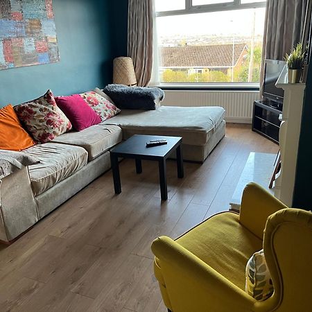 Bellevue Bungalow - Comfortable Home With Amazing Views Belfast Buitenkant foto