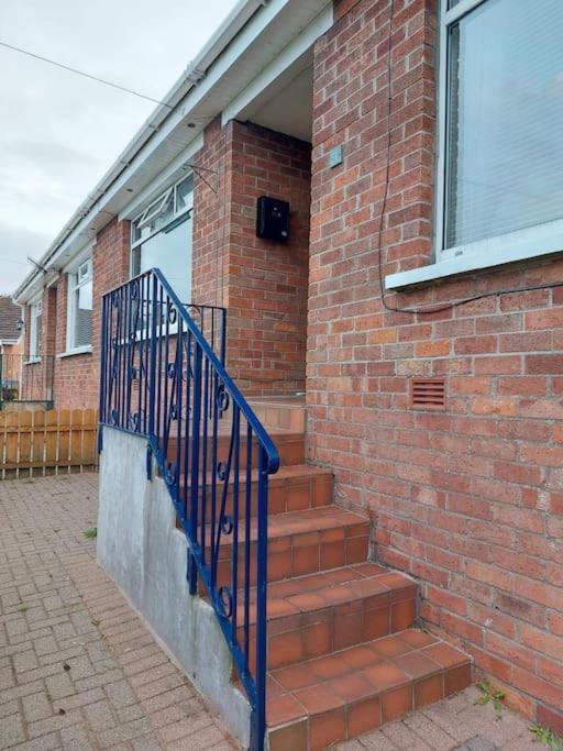 Bellevue Bungalow - Comfortable Home With Amazing Views Belfast Buitenkant foto