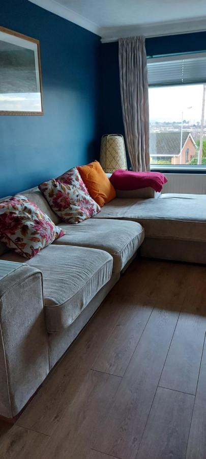 Bellevue Bungalow - Comfortable Home With Amazing Views Belfast Buitenkant foto