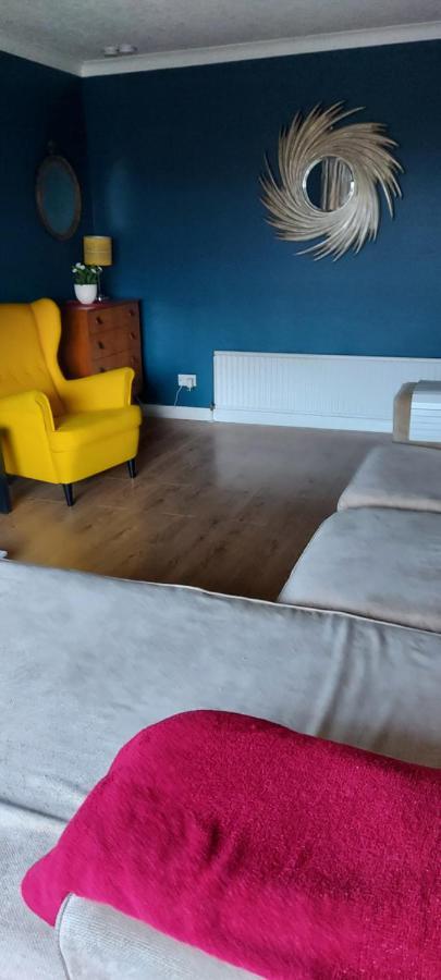 Bellevue Bungalow - Comfortable Home With Amazing Views Belfast Buitenkant foto