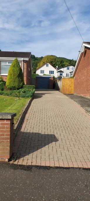 Bellevue Bungalow - Comfortable Home With Amazing Views Belfast Buitenkant foto