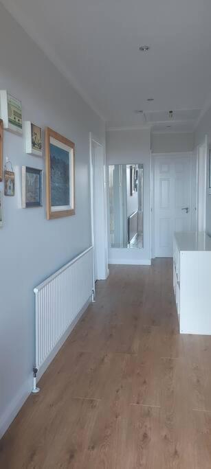 Bellevue Bungalow - Comfortable Home With Amazing Views Belfast Buitenkant foto