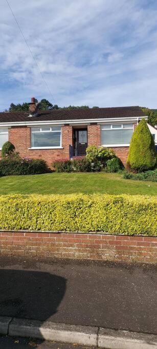 Bellevue Bungalow - Comfortable Home With Amazing Views Belfast Buitenkant foto