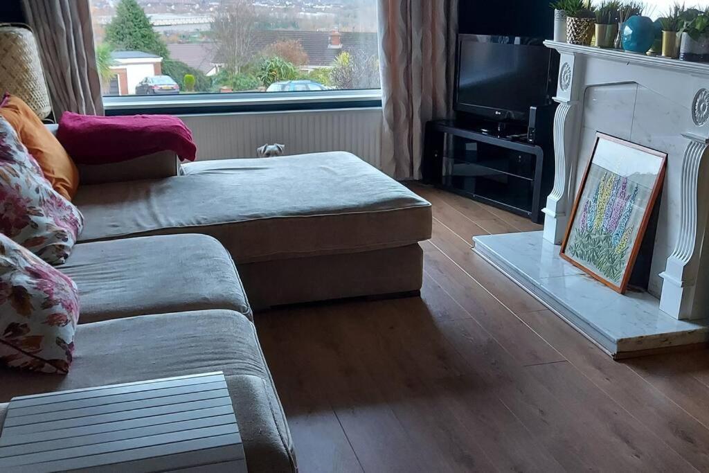 Bellevue Bungalow - Comfortable Home With Amazing Views Belfast Buitenkant foto