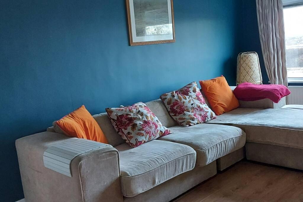 Bellevue Bungalow - Comfortable Home With Amazing Views Belfast Buitenkant foto