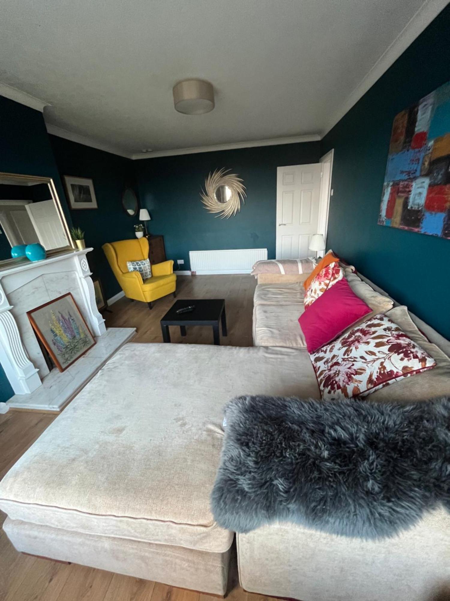 Bellevue Bungalow - Comfortable Home With Amazing Views Belfast Buitenkant foto